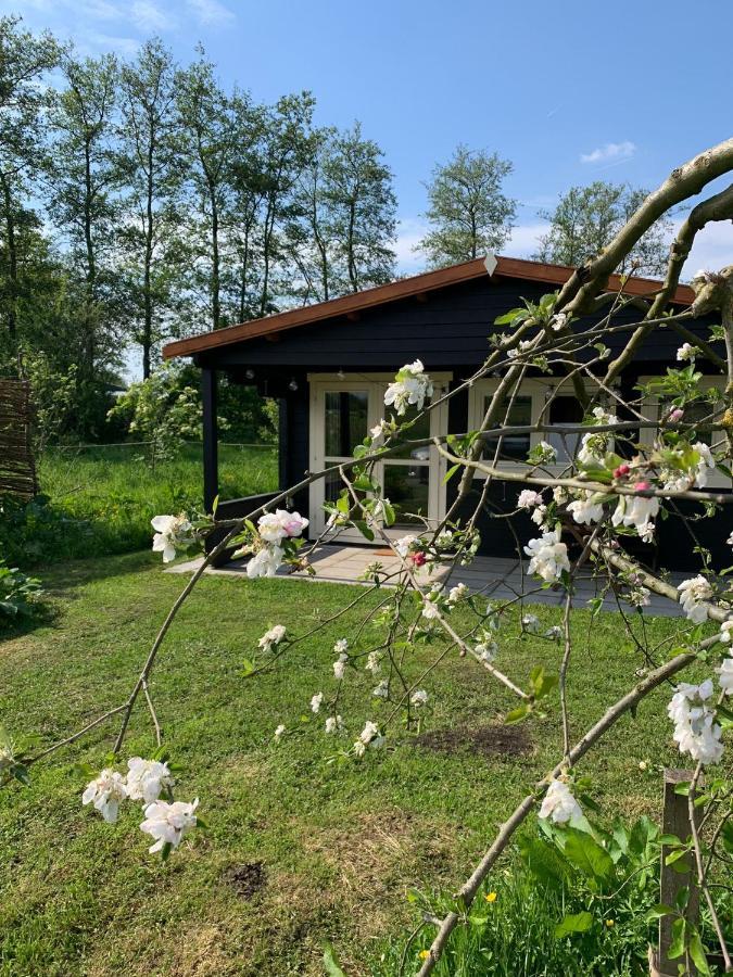 Bed and Breakfast Fields 1216 Zwaanshoek Екстер'єр фото
