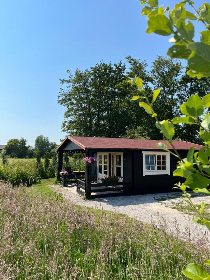 Bed and Breakfast Fields 1216 Zwaanshoek Екстер'єр фото